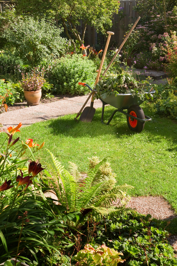 8 Late June Garden Tasks for Gardeners in Southern California's Areas of Coastal Influence