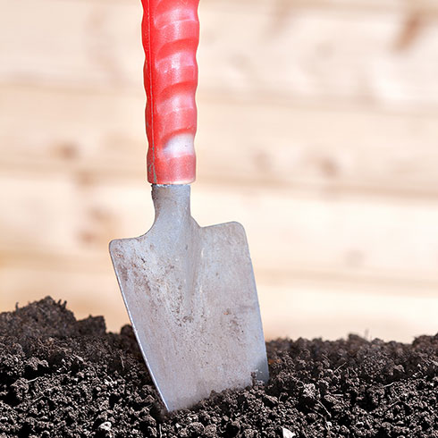 Our Assumptions About Soil May Be Gardening Baggage: GardenZeus™: Getting Started With a New Garden