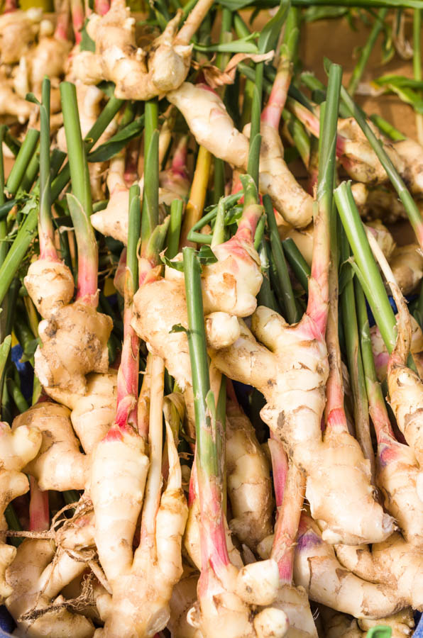 Ginger: Growing and Harvesting for Culinary Use