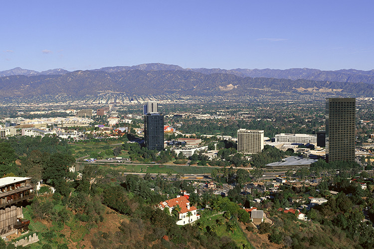 Down and Dirty 3: My Garden Crash-Landing in the San Fernando Valley