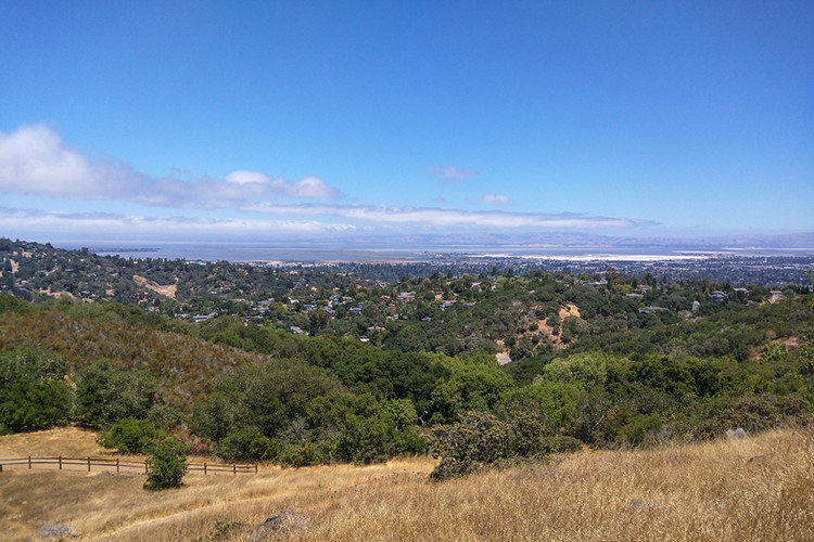 CA Zone 5: Northern Strong Coastal Influence