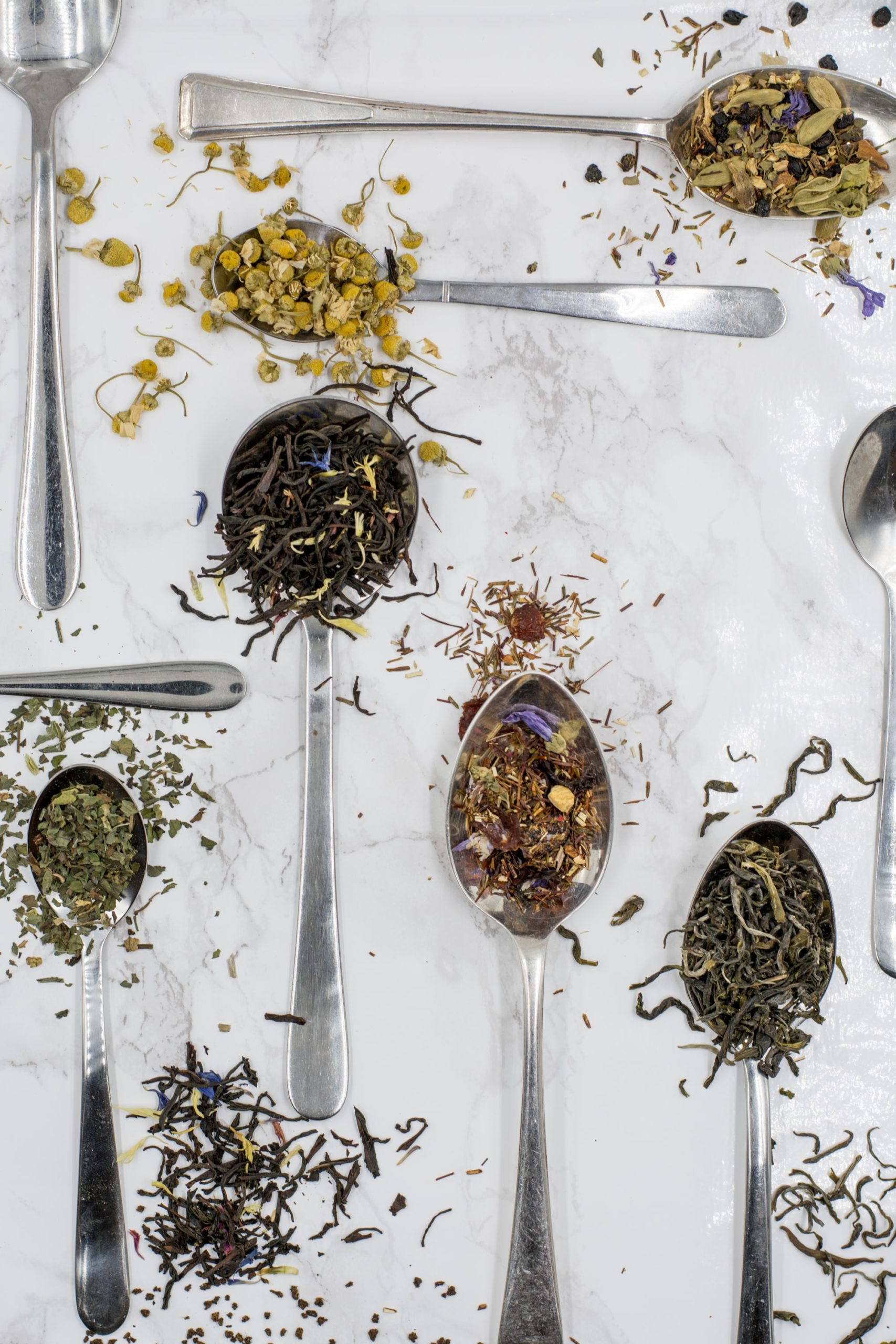 Gifts From Your Garden: Grow Your Own Herbal Teas