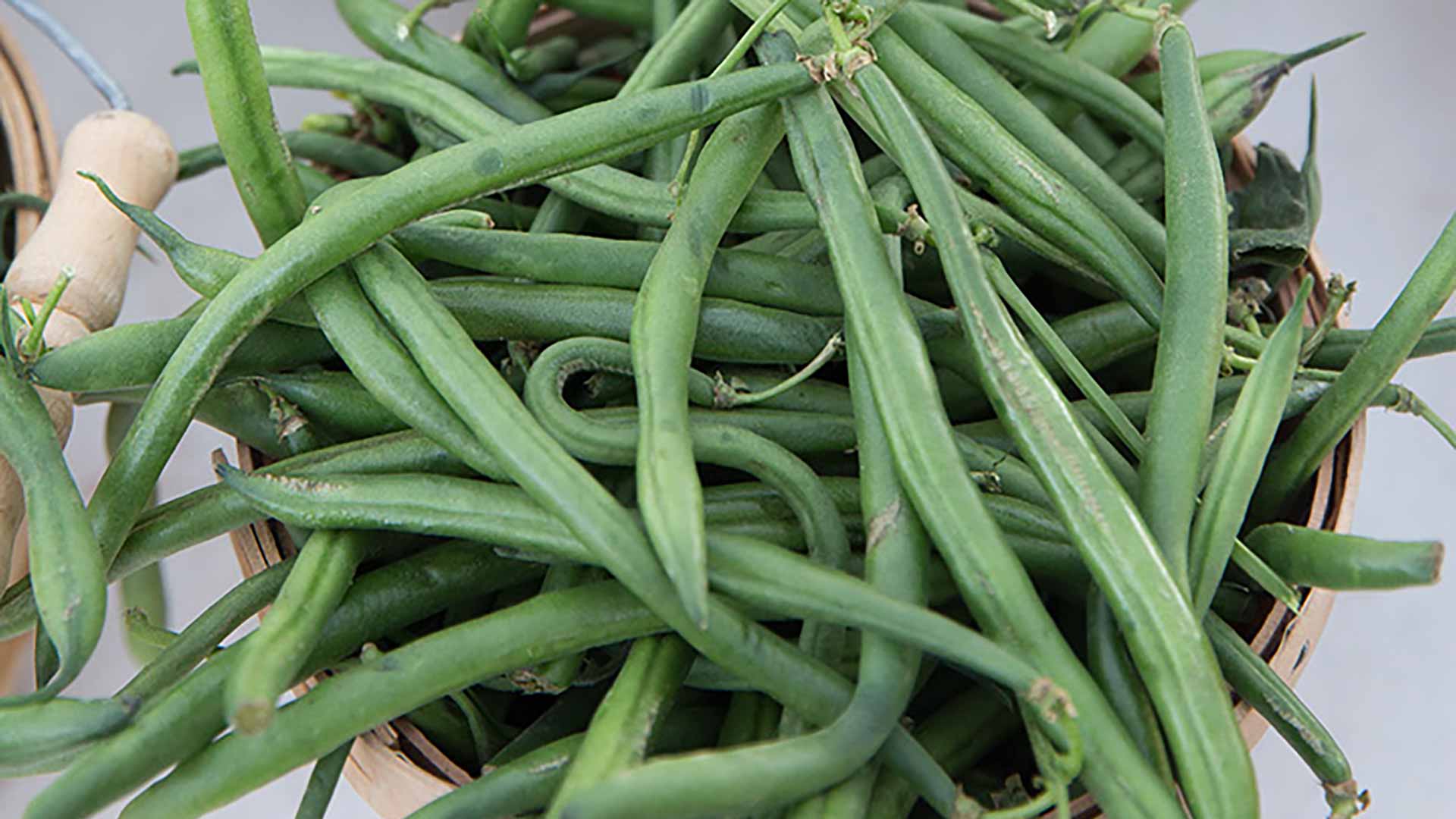 5 Tips for Using and Storing Green Beans