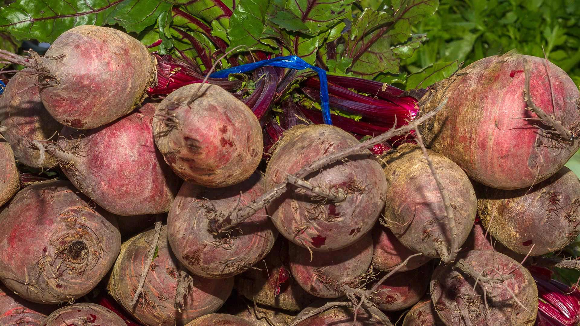 Beet, General