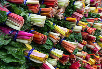 Varieties of chard after harvest