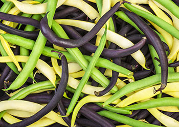 Green, yellow, purple beans