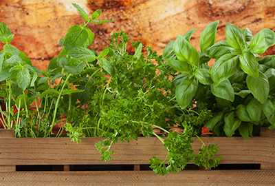 Having each herb in a separate container allows the gardener to meet the unique watering needs of each