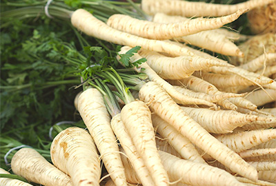 Root parsley