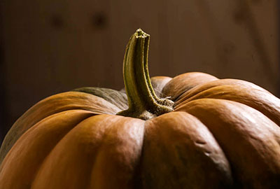 Squash, Pumpkin