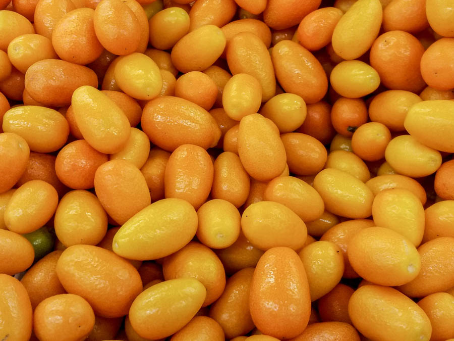 Harvesting Kumquats: 5 Tips