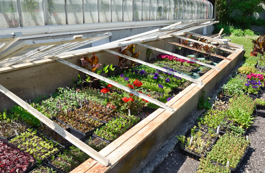 Planning for New Vegetable Gardens: Seasonality