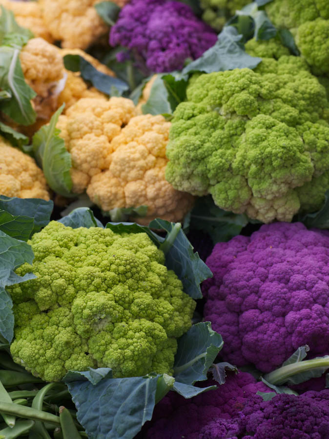 6 Tips for Growing Cauliflower in Mediterranean Climates