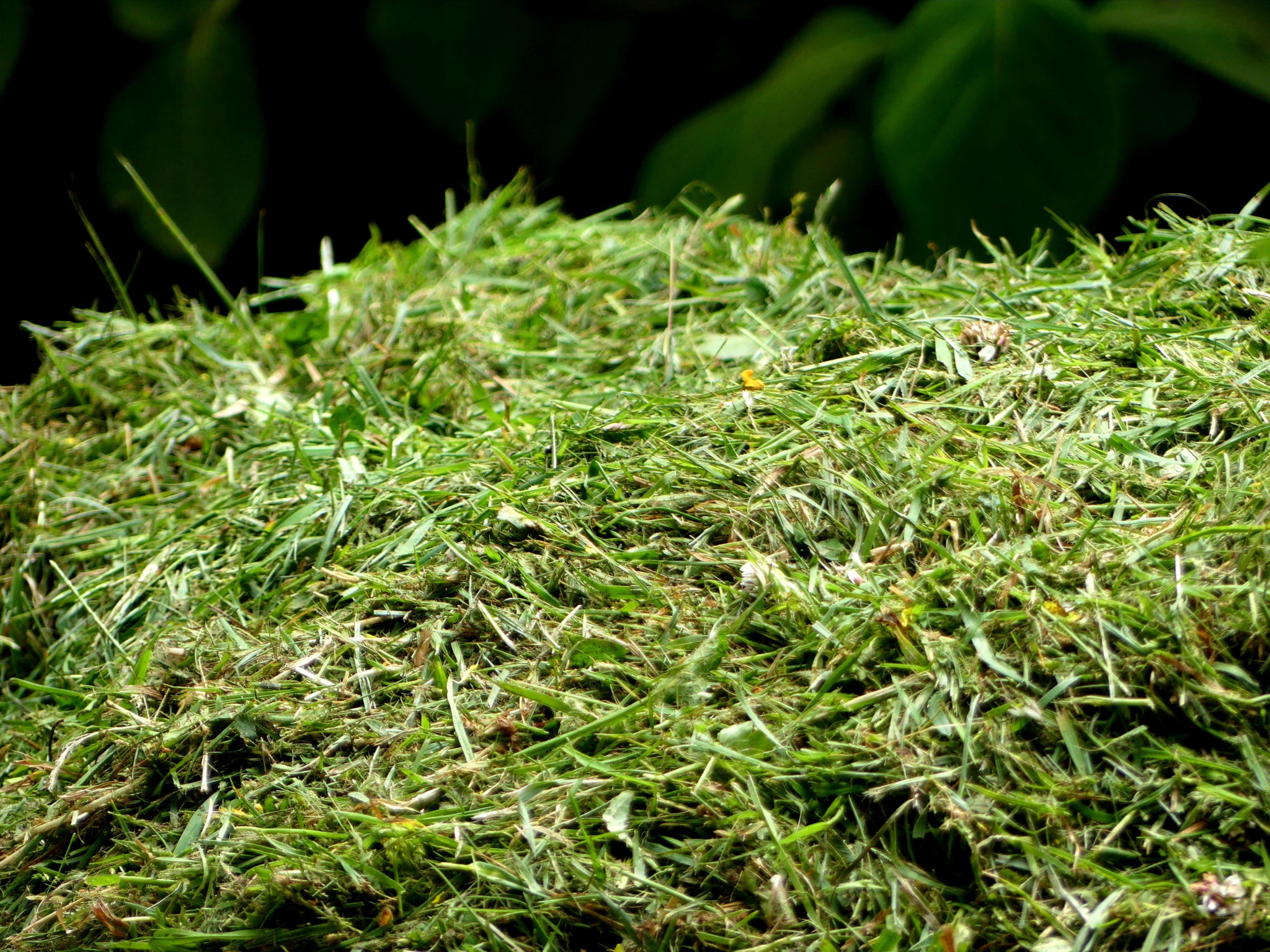 Planning for New Vegetable Gardens Soil Slowly