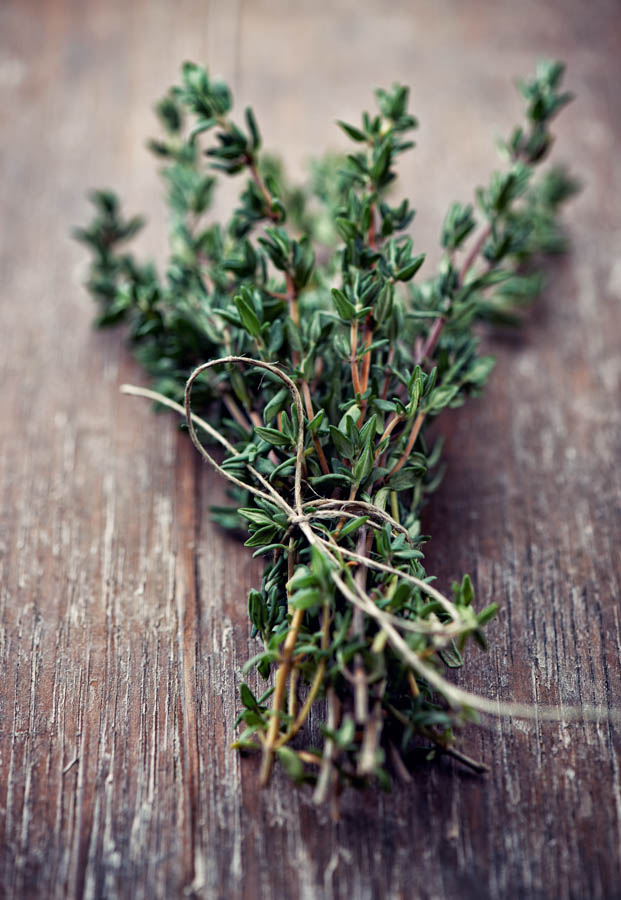 The GardenZeus Quick and Easy Guide to Thyme Species Used for Cooking