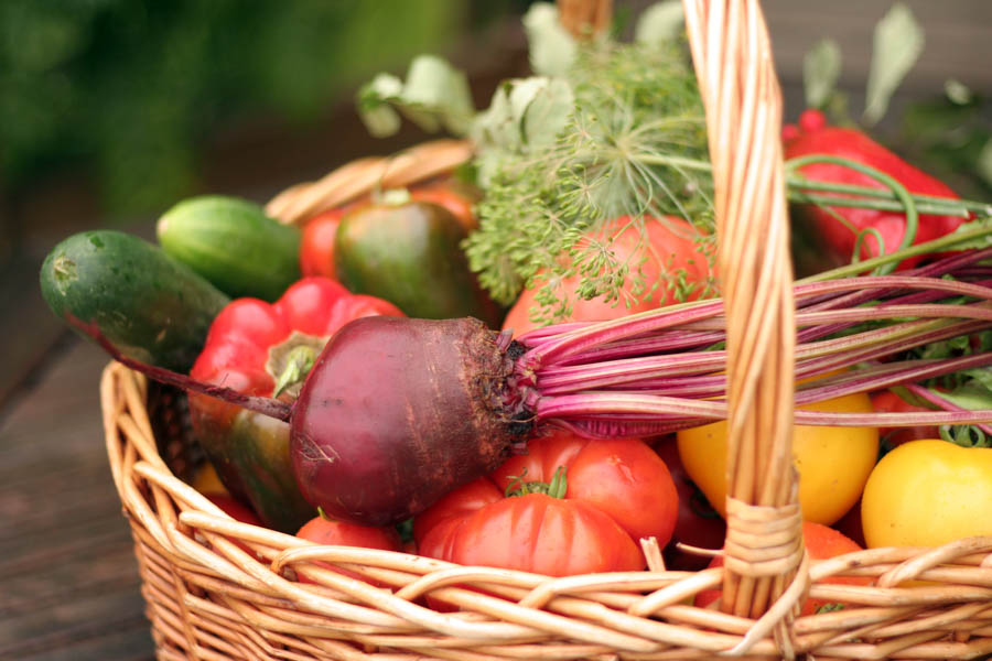Extend Your Harvest of Warm Season Vegetable Plants