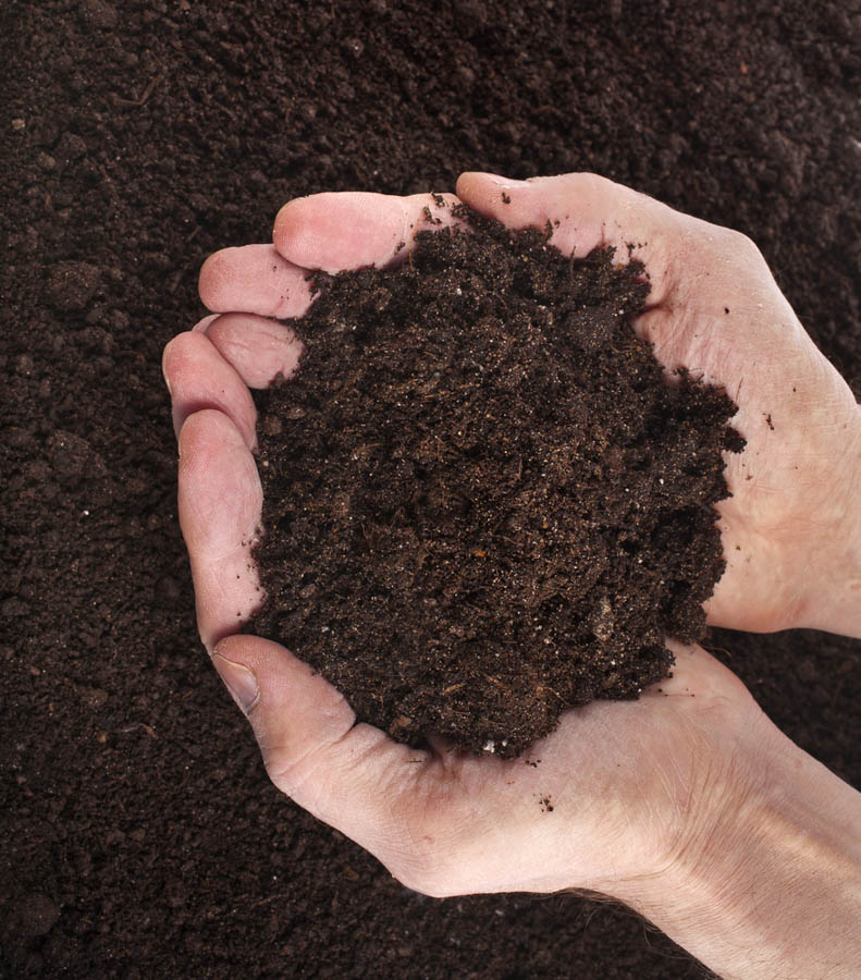 New Year’s Resolution: Focus on Soil, Not Plants