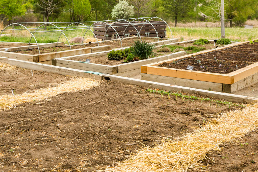 October Gardening Tasks in Southern California's Coastal Areas