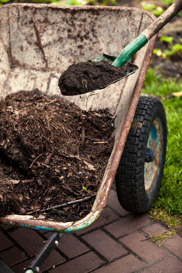 July Gardening Tasks For Southern California Areas of Coastal Influence