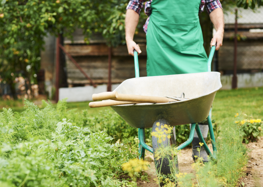 January Gardening in Southern California’s Inland Areas