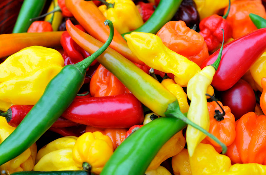 Tips for Storing and Preserving Hot Peppers