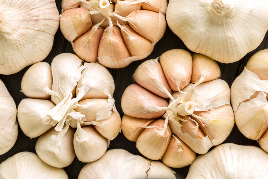 Growing Garlic in the California Home Garden