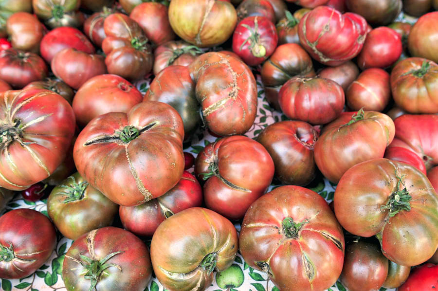 GardenZeus Tips for Harvesting Tomatoes