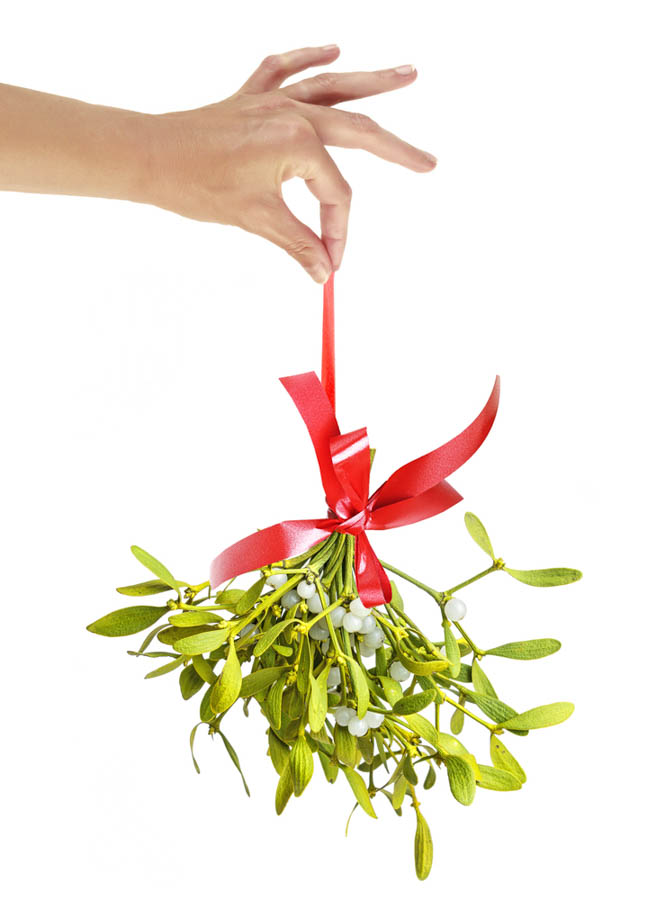 Super-Secret Trick to Evade a Kiss Under the Mistletoe: Mistletoe for The  California Holidays, Part 3