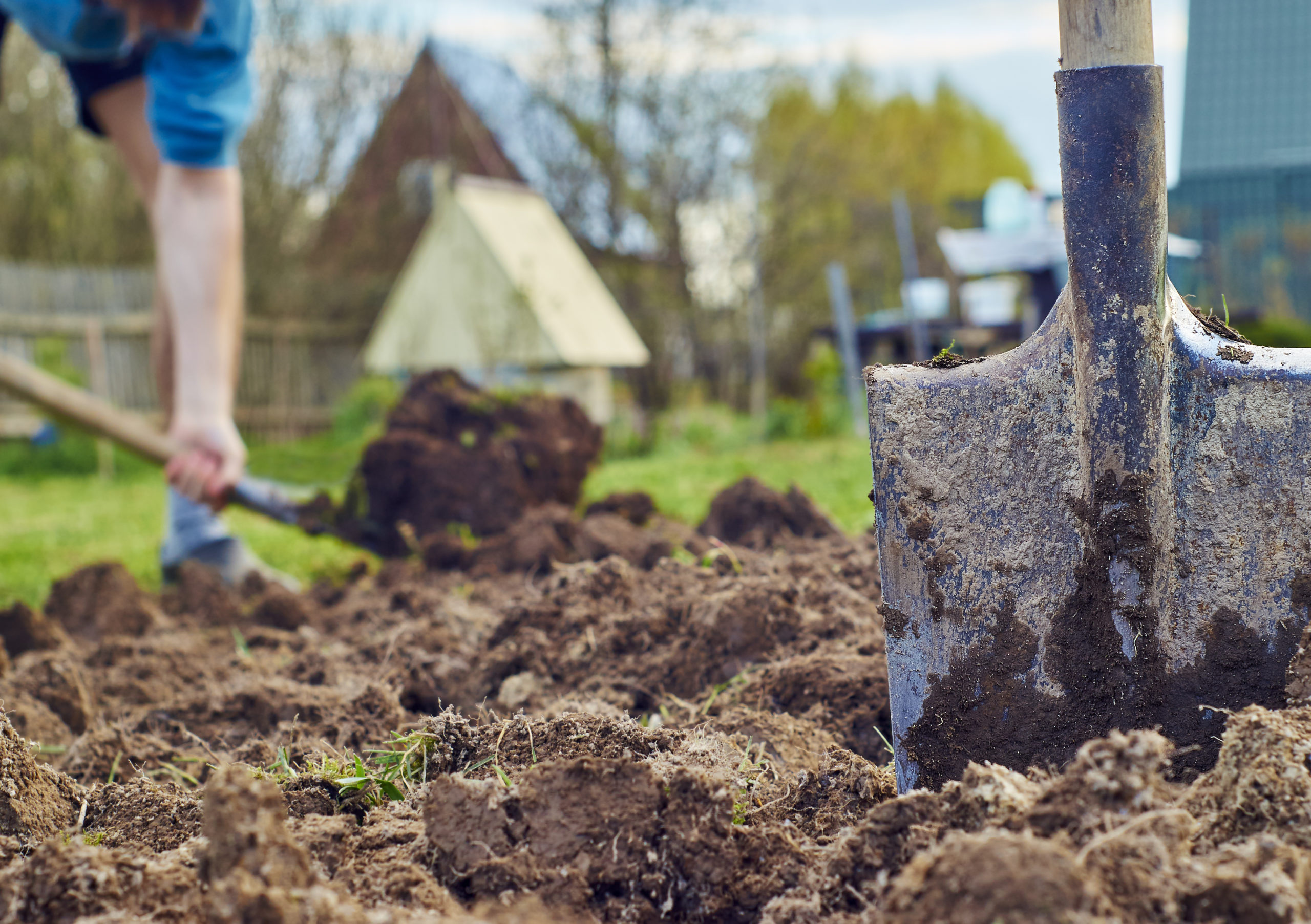 Planning for New Vegetable Gardens: Decompact Soil Quickly