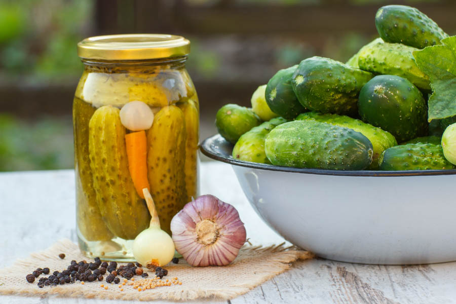 Cucumber Varieties for Southern California's Inland Areas