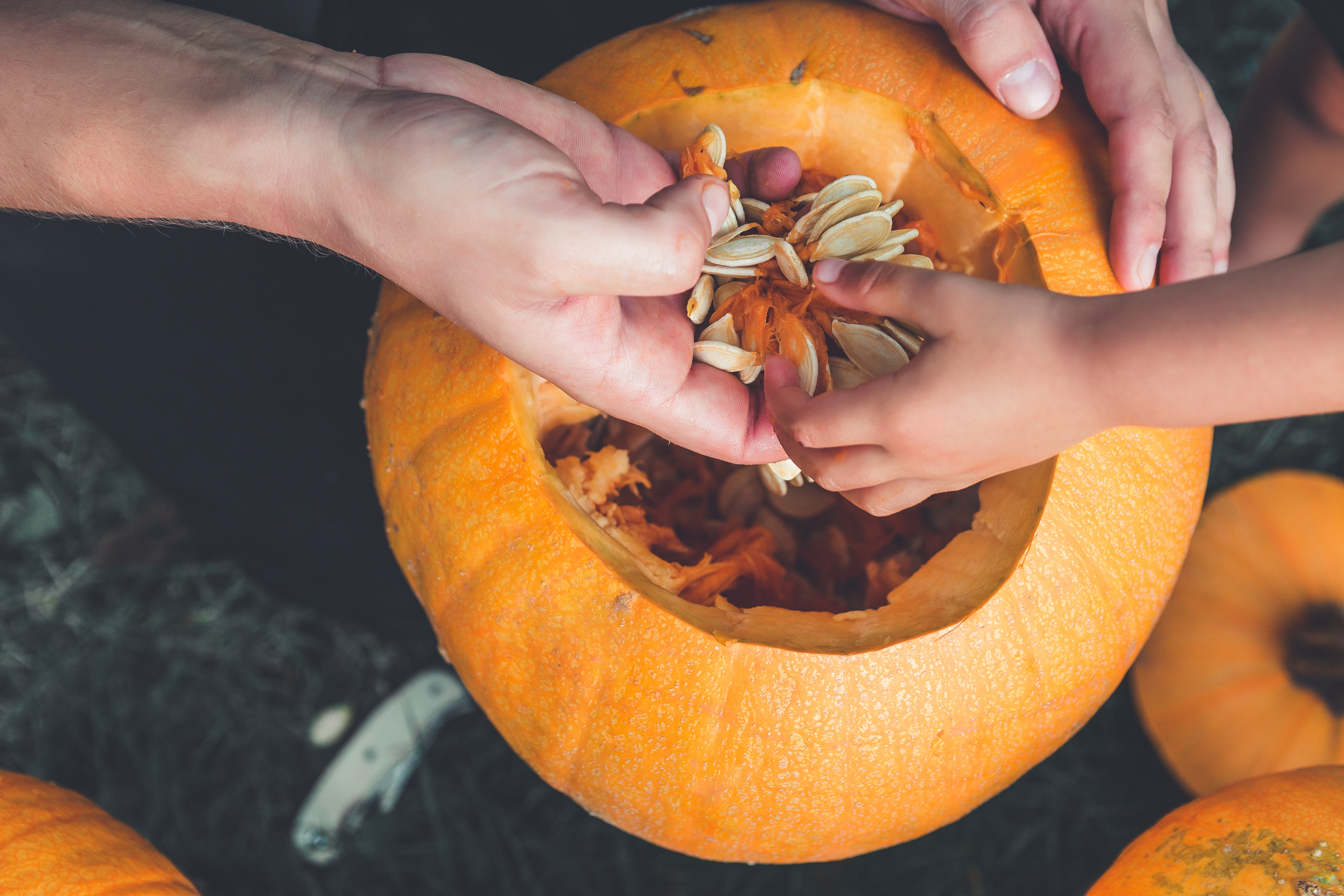 Saving Pumpkin Seeds: It's Complicated