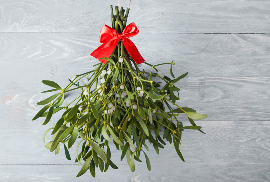 A Holiday Kiss Under the…Holly?: Mistletoe for The California Holidays, Part 1 of 3