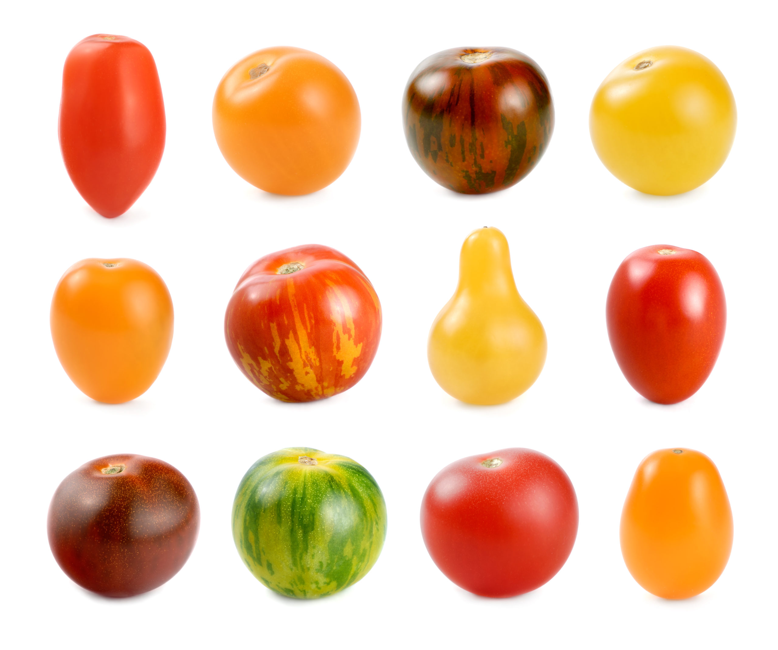 The Ultimate Guide to Choosing a Cherry Tomato Variety - Perfect for Any Gardener!