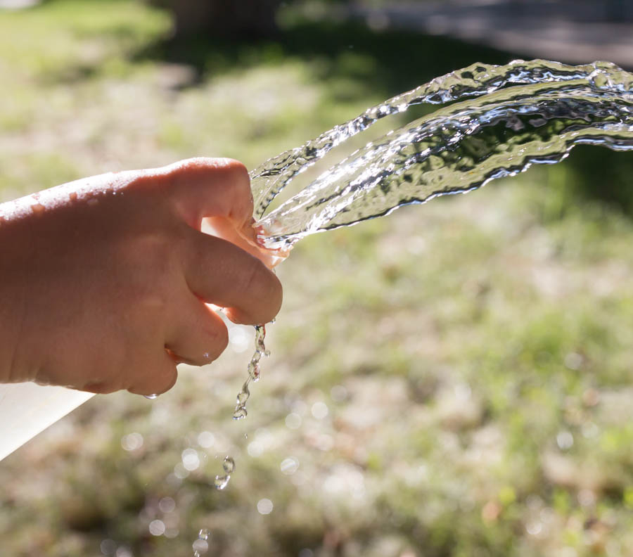 Summer Watering in Inland Mediterranean Climates