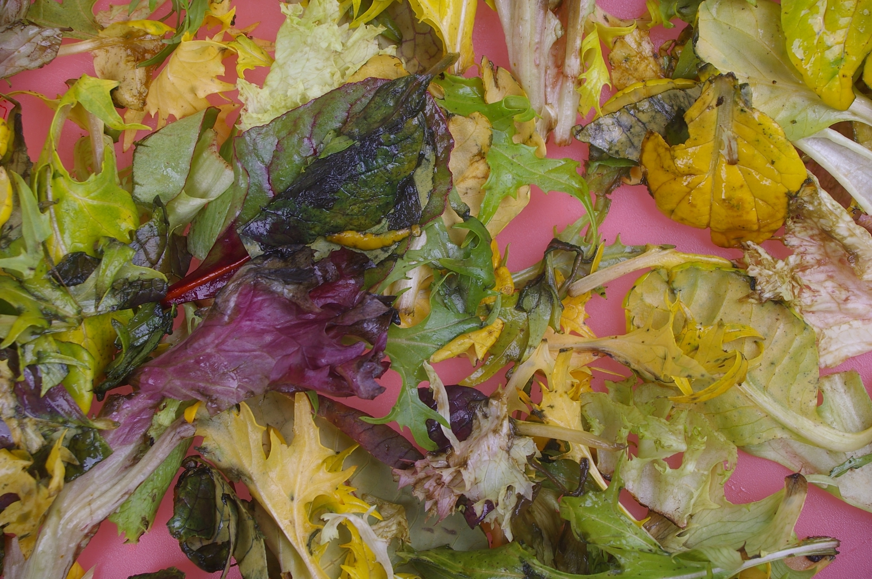 Why is my Lettuce Turning Brown? It’s Probably Ethylene Gas