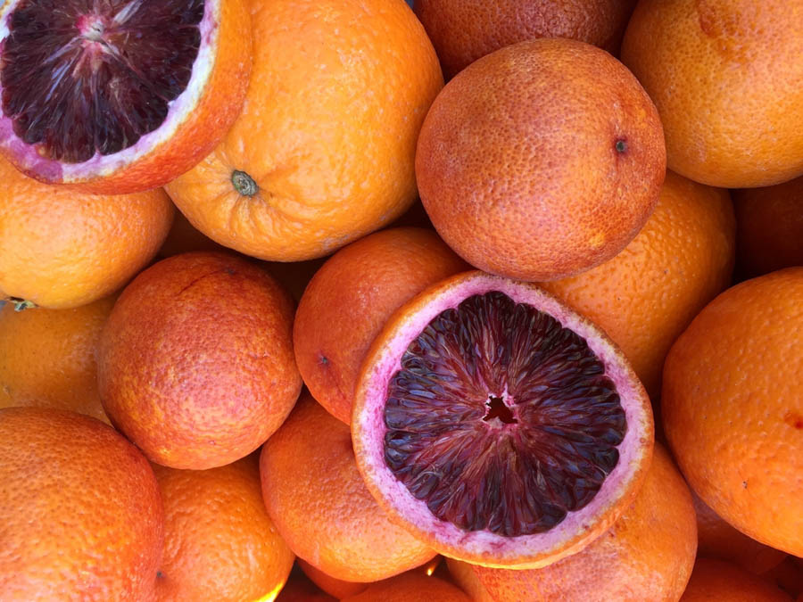 Blood Oranges: Getting Started with Selecting Varieties and Individual Trees