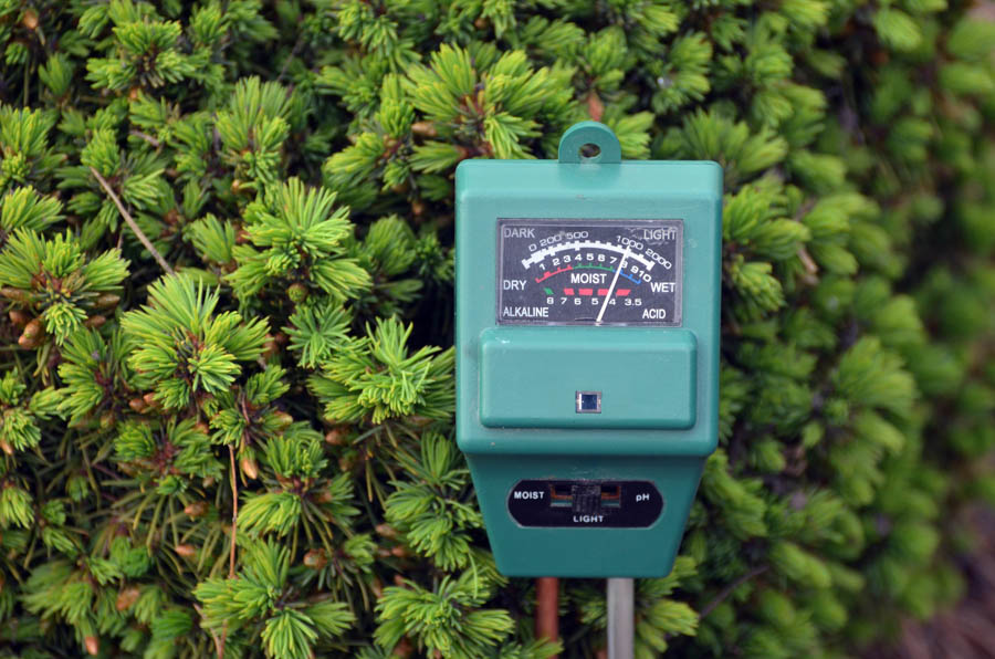 Down and Dirty 8: Tips for Testing Soil pH at Home with a Soil pH Meter