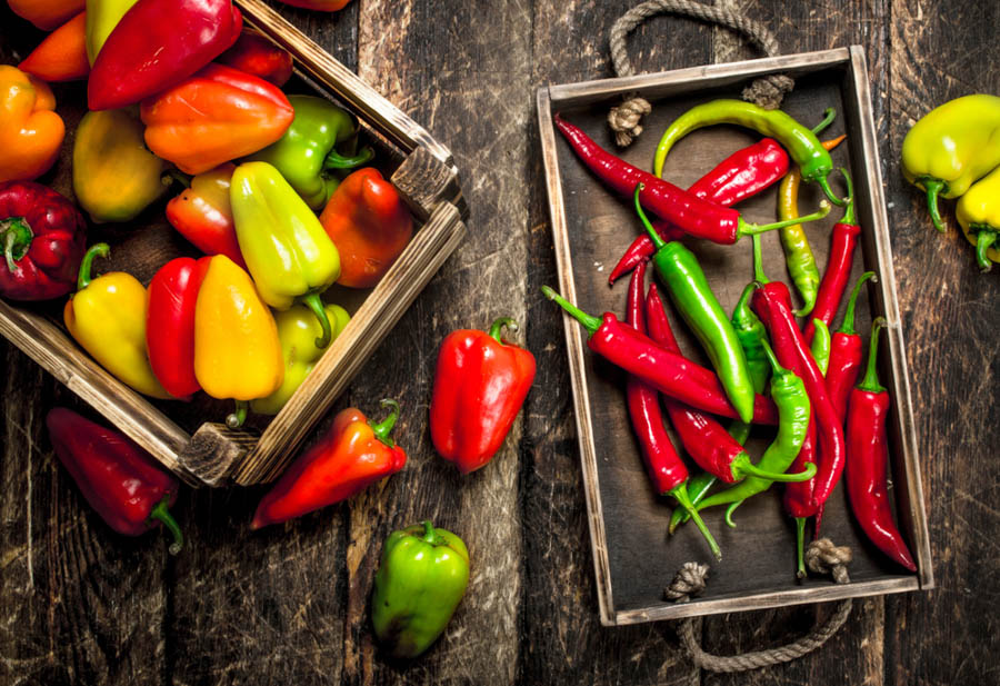 Hot and Sweet Peppers: Do They Make Good Companion Plants?