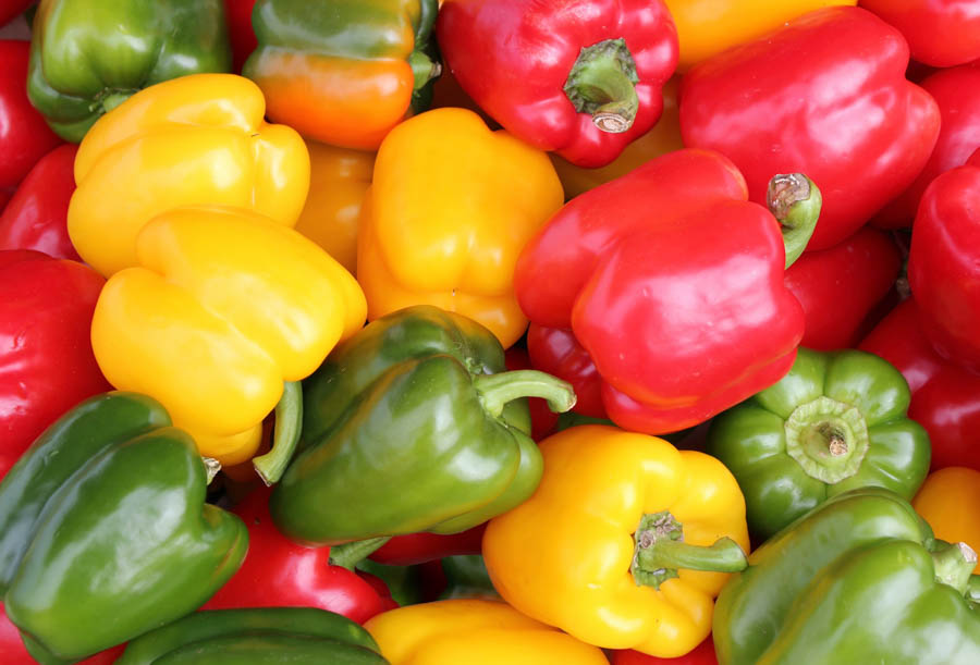 Sweet Pepper Varieties: Colors, Flavors and Growing Characteristics