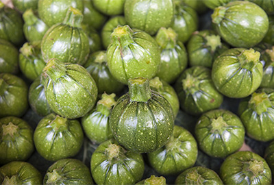 Focus on Varieties: Zucchini Baby Round