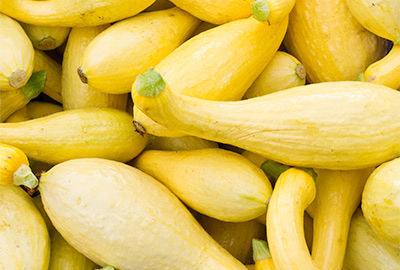 Yellow crookneck squash