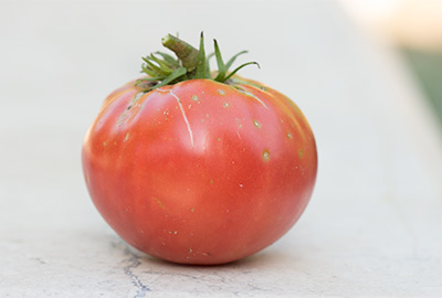 tomato