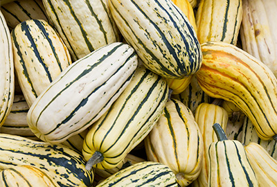 Delicata