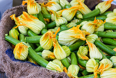 Young zucchini fruits harvested with blossom attached